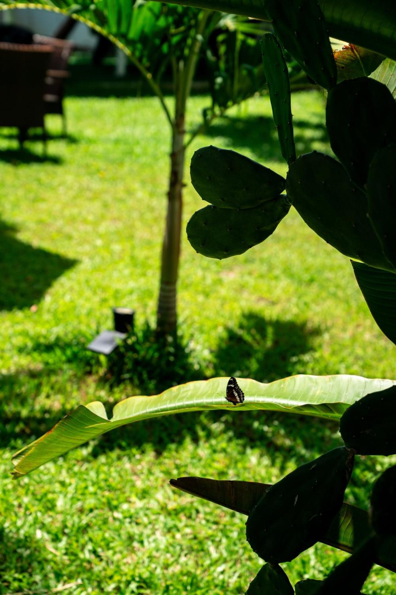 Taling Ngam Beach Koh Samui Resort & Restaurant מראה חיצוני תמונה